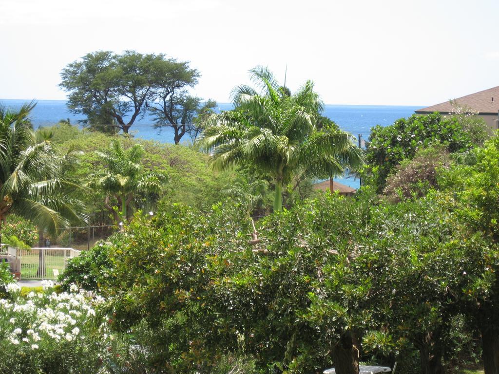 Maui Vista By Maui Condo And Home キヘイ 部屋 写真